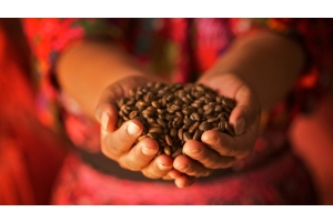 Our Coffee Pricing staying the same despite the Increased Fairtrade Premium