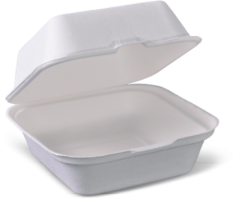 Bagasse 6" x 6" Clamshell Takeaway Burger Box - 1 by 125