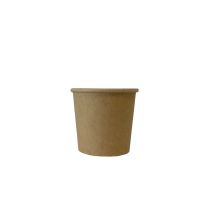 1oz Paper Portion Pot 1 x 100