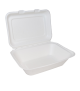 Bagasse 7