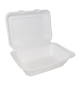 Bagasse 7