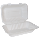 Bagasse 9