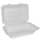 Bagasse 9