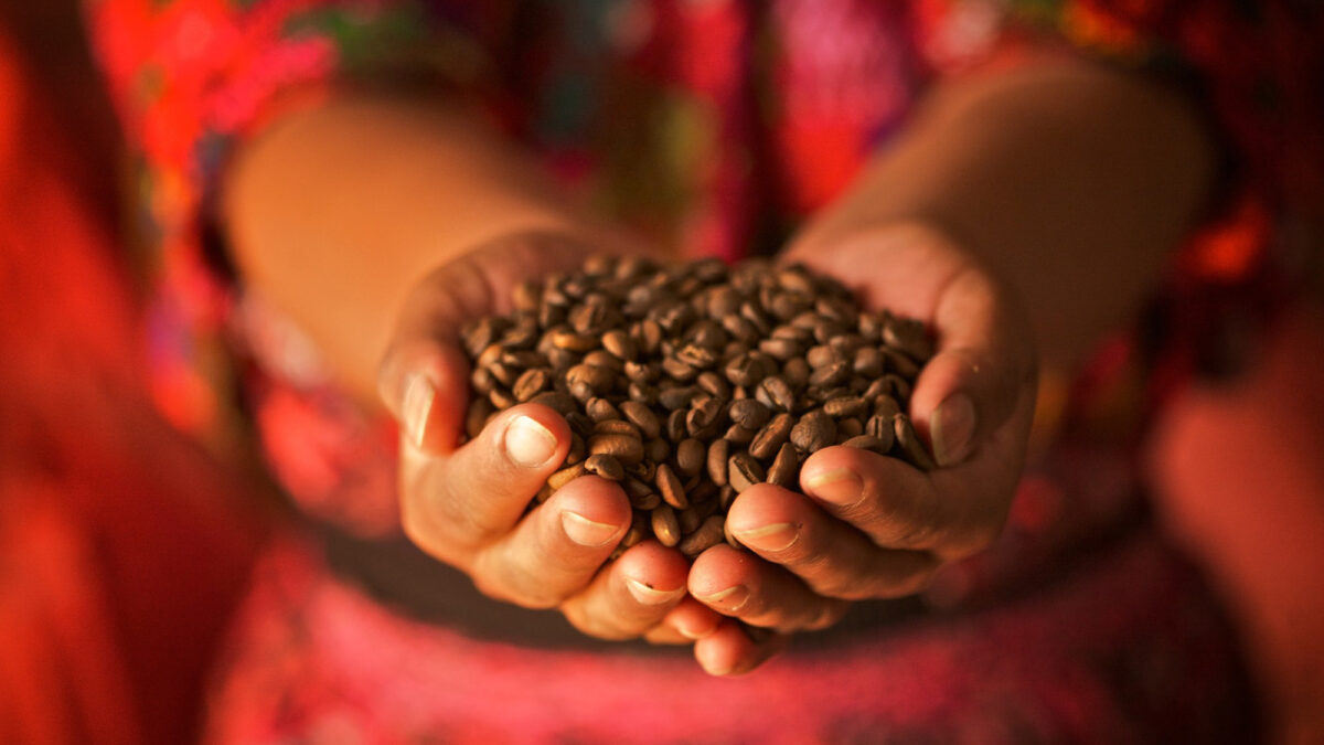 Our Coffee Pricing staying the same despite the Increased Fairtrade Premium